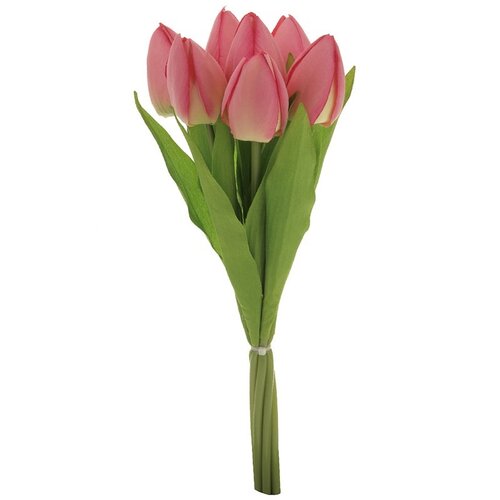 Puget růžových tulipánů