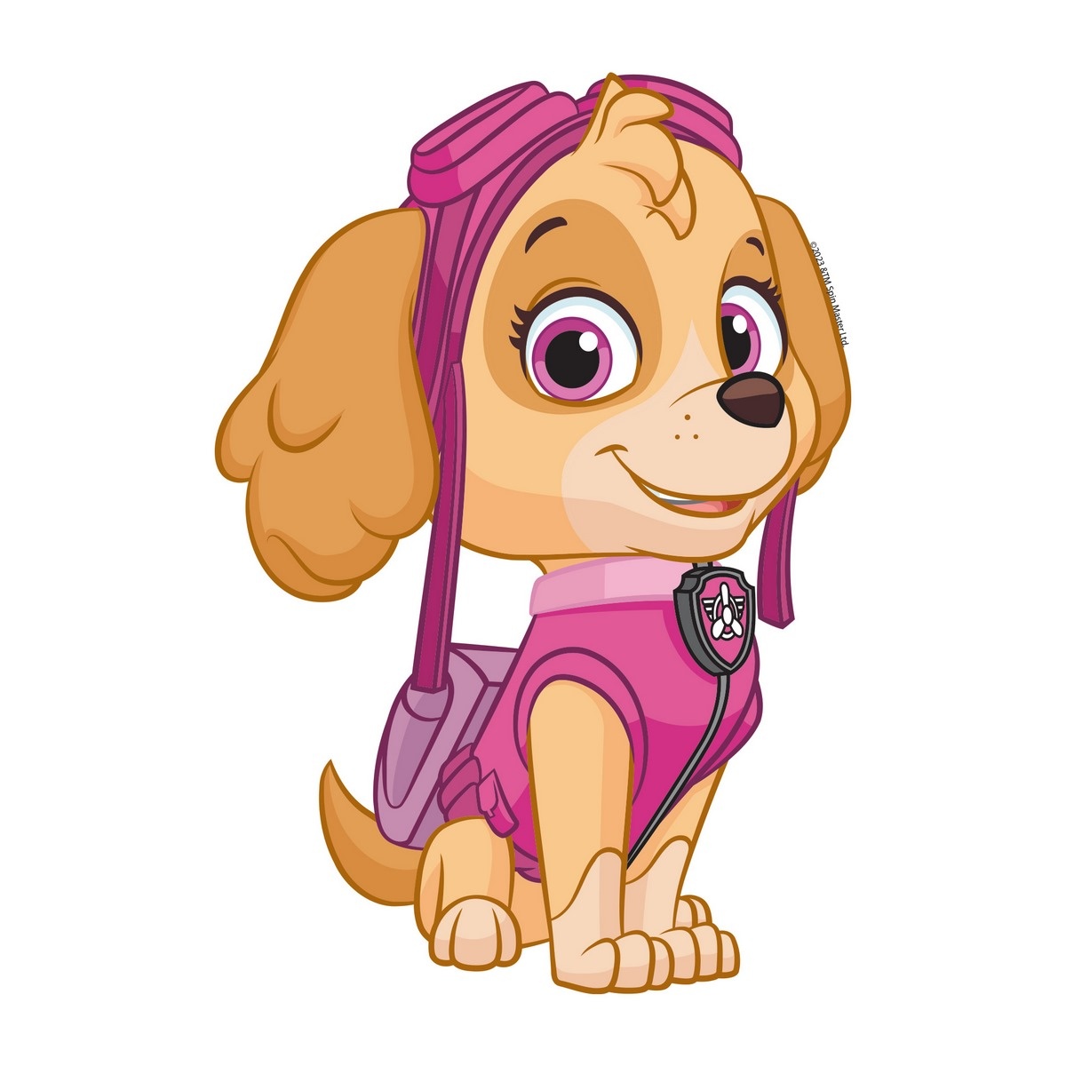 3D Samolepka Paw Patrol Skye