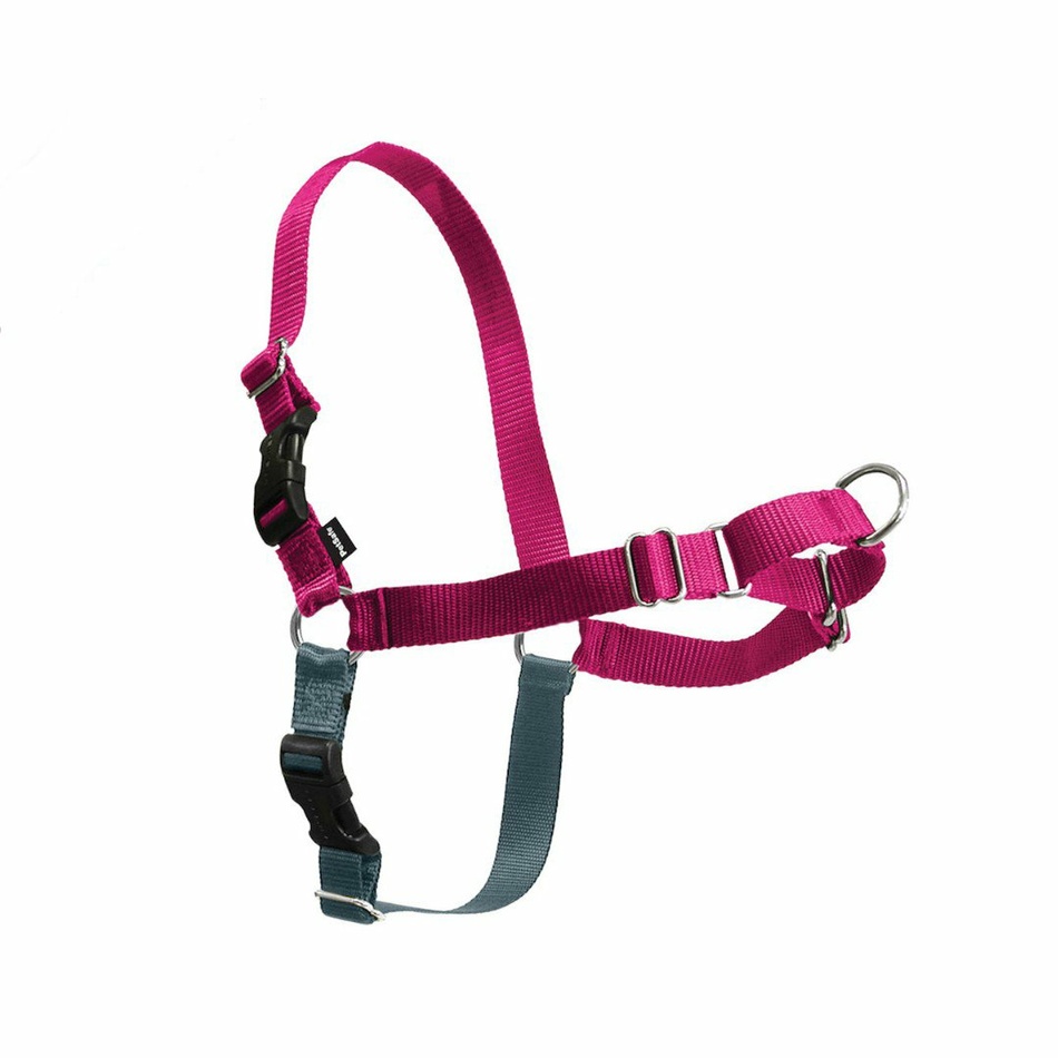 PetSafe Postroj EasyWalk malinový M